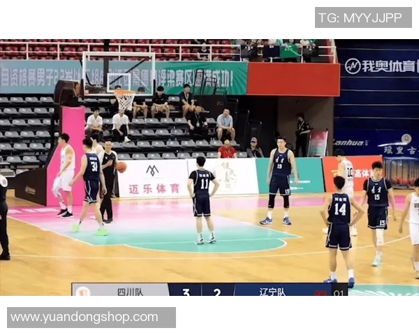 四川对阵辽宁精彩比赛录像回放全程回顾与分析