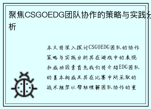 聚焦CSGOEDG团队协作的策略与实践分析